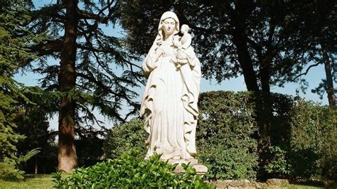 Meet Mary in the Vatican Gardens - Vatican News