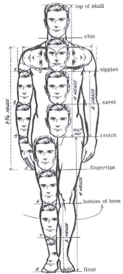 Épinglé par Katta sur anatomy | Idées esquisses, Dessin corps, Dessin ...