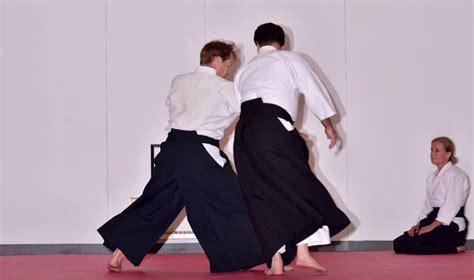 Shodokan Dojo Aikido Demonstration at Montserrat College of Art, Beverly, MA - Lita Xú Líng ...