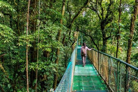 4 BEST Hanging Bridges in Monteverde + How to Visit Them!