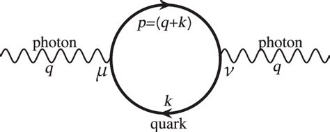 Feynman diagram for one-loop photon self-energy. | Download Scientific Diagram