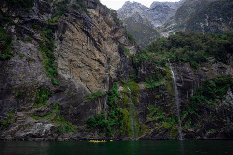 How to Go Kayaking in Milford Sound- The BEST Kayaking Tour & More