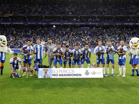 WATCH: RCD Espanyol players are accompanied by dogs up for adoption ...