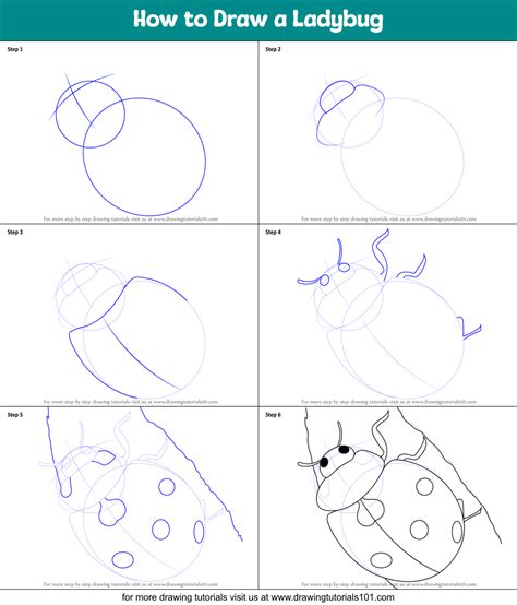 Ladybug Drawing Step By Step