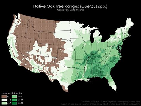 Native Oak Tree Ranges in the United States - Vivid Maps