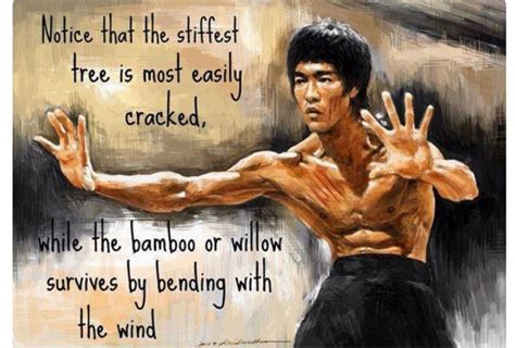 Pin by Monica Virag on ART | Bruce lee quotes, Bruce lee, Fight back quotes