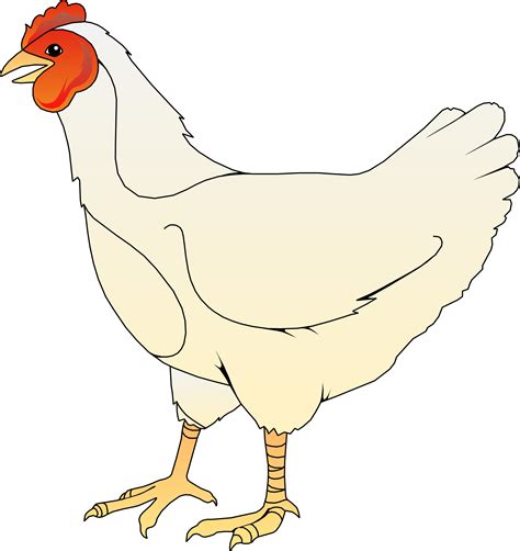 Chicken Clip Art PNG Images Transparent Free Download