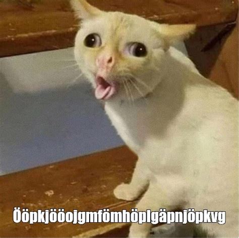 Create meme "Hey cat meme, cat, coughing cat meme" - Pictures - Meme ...