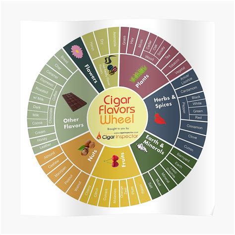 "Cigar Flavors Wheel poster" Poster by CigarInspector | Redbubble