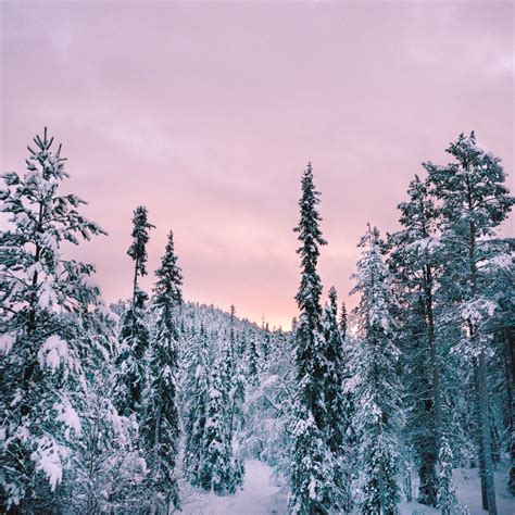 Winter Wonderland in Lapland, Finland - Find Us Lost