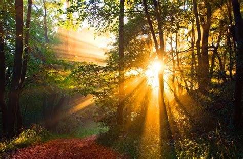 illumination by Daniel Hübner / 500px | Illuminations, Nature, Photographer