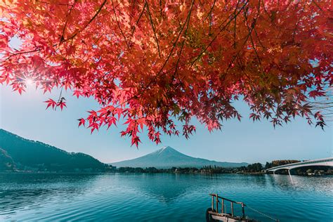 Japan -Autumn colors on Behance