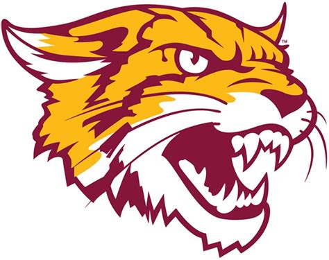 Bethune-Cookman Wildcats | Wild cats, Wildcats logo, Sports logo design