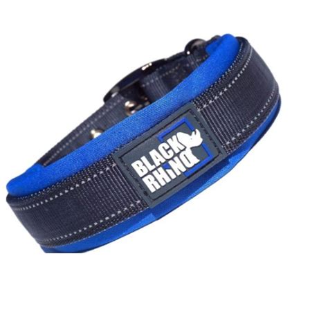 Best Dog Collars for Big Dogs