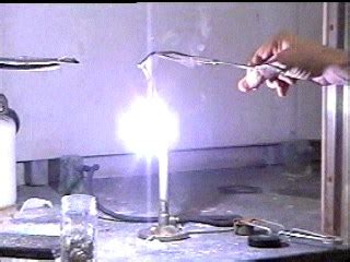 Why should a magnesium ribbon be cleaned before burning in air? - CBSE Class Notes Online ...