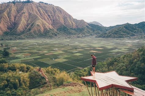 BUKIT SELONG LOMBOK RICE FIELDS FOR SUNRISE - Journey Era