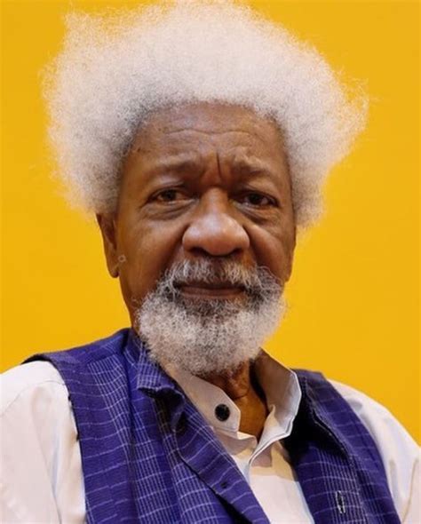 Wole Soyinka Through the Years|Image Gallery – Springers24