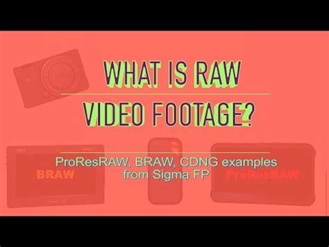 What are RAW video files? Sigma fp RAW trilogy examples. : r/videography