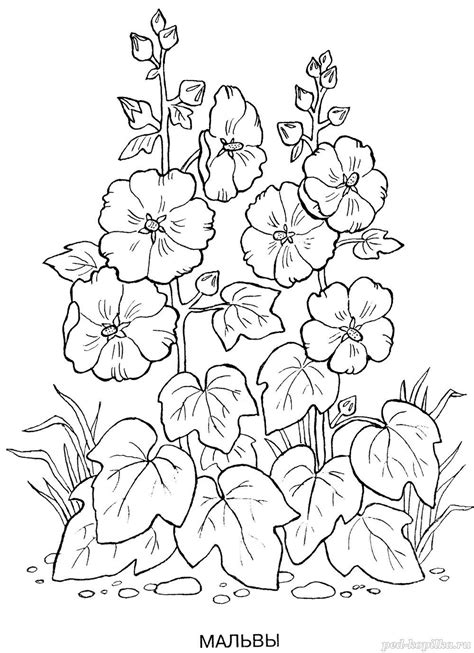 Flower Coloring Pages, Colouring Pages, Coloring Books, Fabric Painting, Painting & Drawing ...