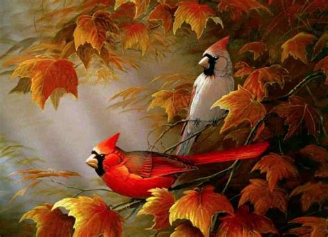 Cardinals birds - Autumn Cardinals Wallpapers - HD Wallpapers 95116