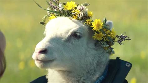 The New Trailer For Lamb Will Give You Nightmares