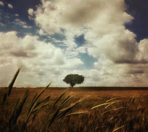 8 Tips For Incredible Rural Landscape Photography On iPhone