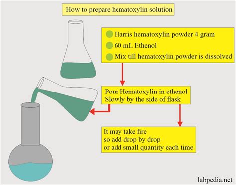 Hematoxylin And Eosin (H&E) Staining, Classification,, 50% OFF