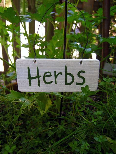 herbs sign | ハーブ