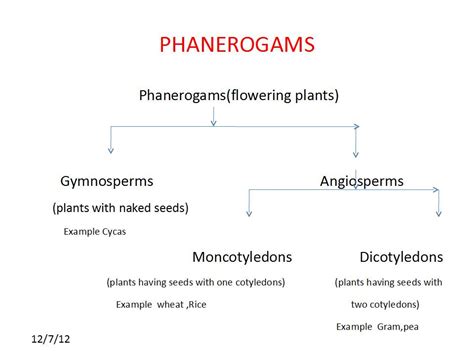 Classification of Plants and Animals: Classification of Plants