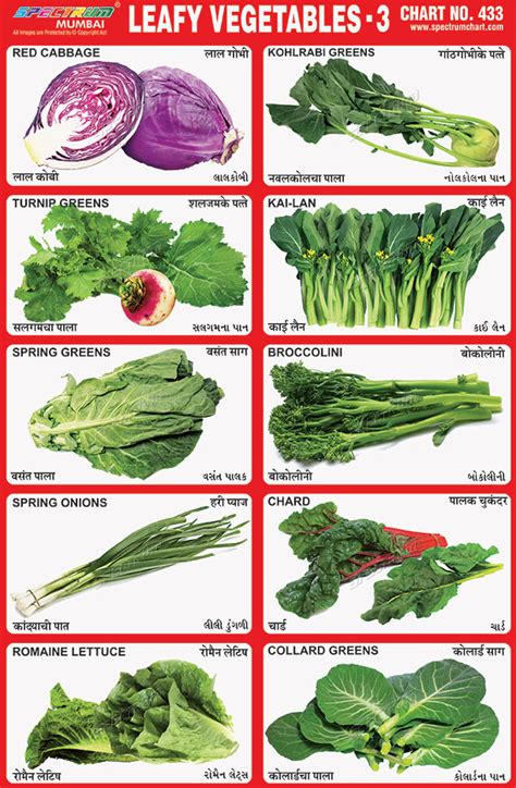 Types Of Greens Chart