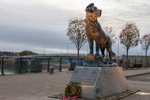 Military K9 Statue Free Stock Photo - Public Domain Pictures