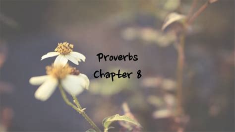 Proverbs 8 - NIV | AUDIO BIBLE & TEXT - YouTube