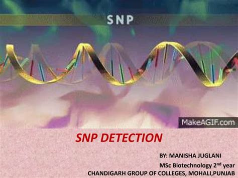 Ppt snp detection | PPT