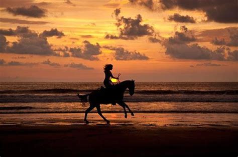 Sunset Horseback Riding