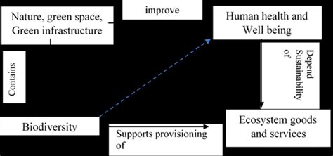 represents the biodiversity, human health and ecosystem services. A ...