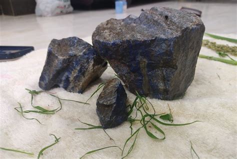 Royal Blue Lapis Lazuli Stone, Packaging Type: Loose at Rs 450/kg in Khambhat