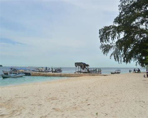 Pulau Harapan Tour | Endangered Tour