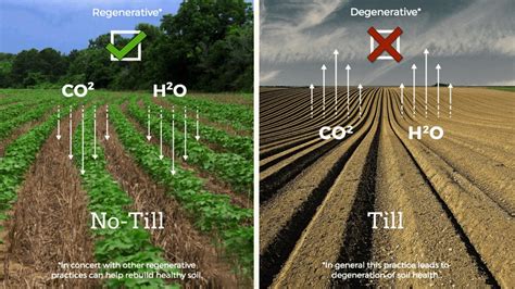 Regenerative Agriculture / Regenerative Farming - Go IT