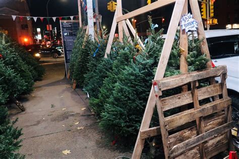 The Christmas Tree Vendors of New York City