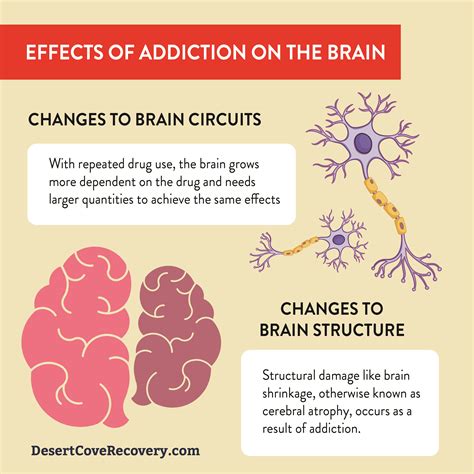 Neuroplasticity: Rewiring The Brain After Addiction | DCR