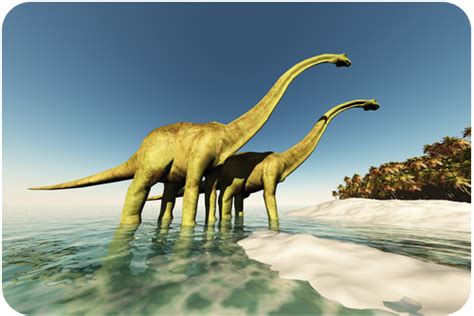 5.10: Mesozoic Era - The Age of Dinosaurs - Biology LibreTexts