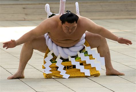 Cool Sumo Kesho-Mawashi Designs! – JapanSauce.Net