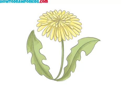 How to Draw a Dandelion - Easy Drawing Tutorial For Kids | Dandelion ...