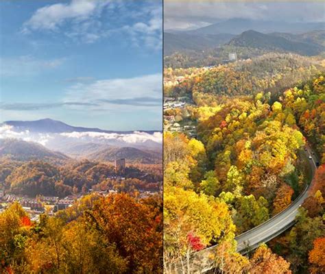 Gatlinburg Fall Foliage Report | Fall Colors in Gatlinburg, TN