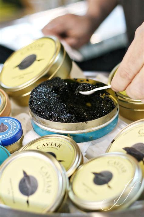 Beluga Caviar | Gastronomia, Receitas, Aperitivos