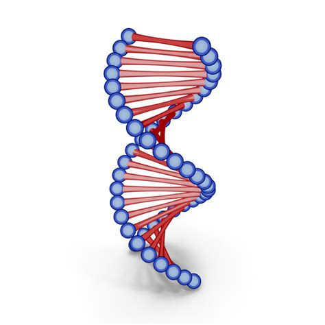 DNA Cartoon PNG Images & PSDs for Download | PixelSquid - S112657996