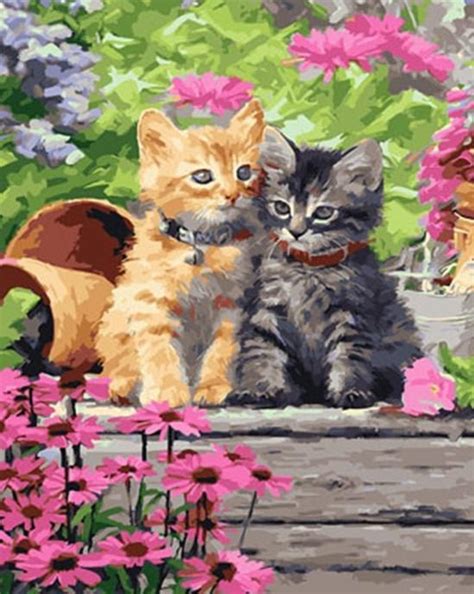 Pretty Cats Animals Paint By Numbers - Numeral Paint Kit