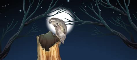 An owl hunting at night 292649 Vector Art at Vecteezy