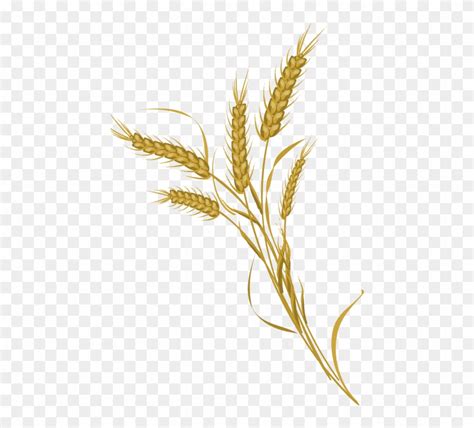 Wheat Bundle Clip Art Black And White Download - Wheat Vector Free ...