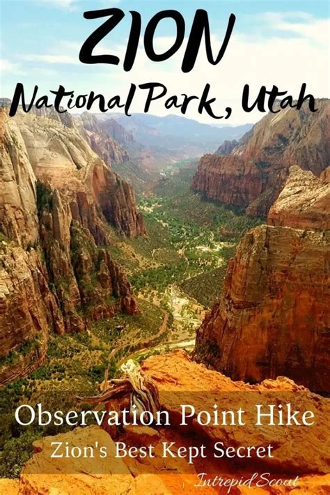 Observation Point Hike - Zion's Best Kept Secret - Intrepid Scout | Zion national park ...